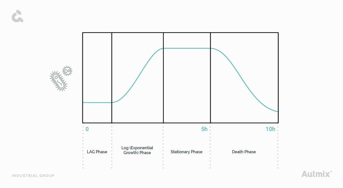 Fermentation Phases