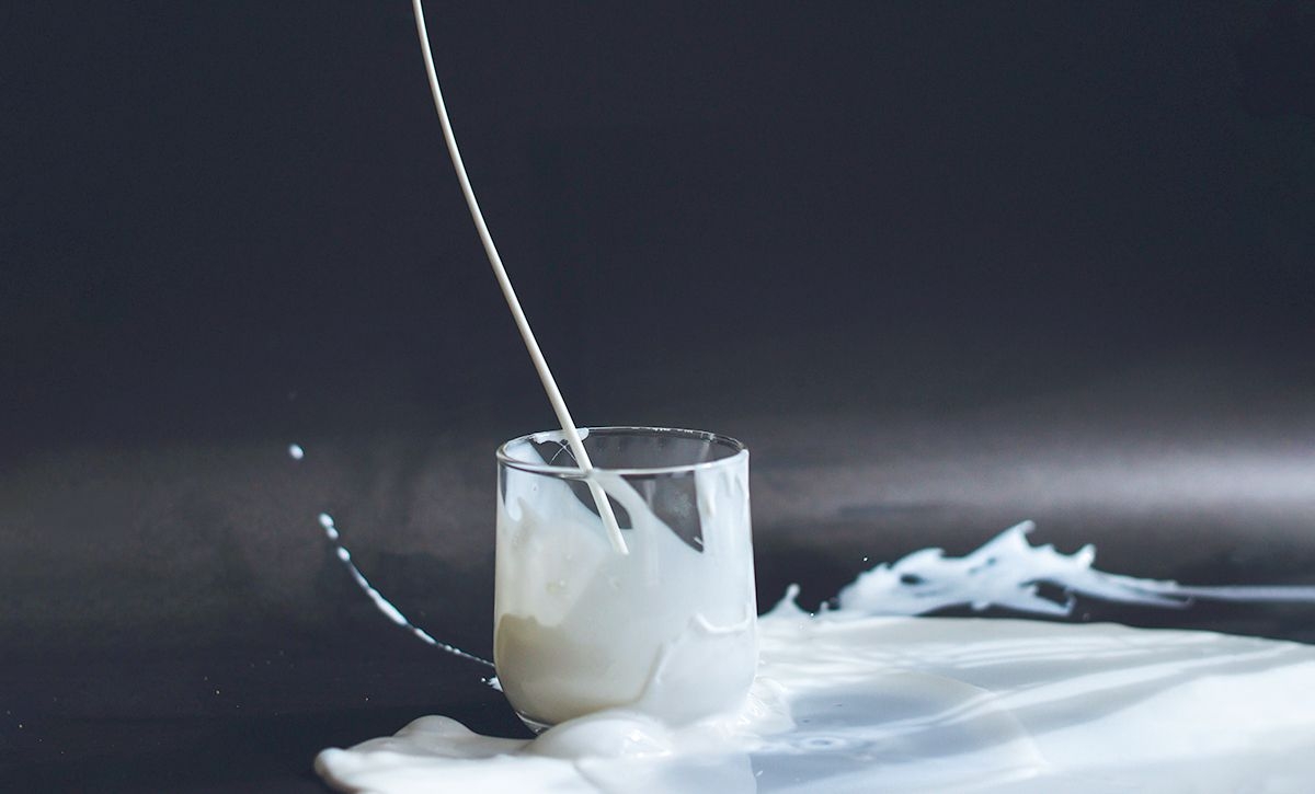 Aplicaciones de la fermentación láctica en la industria – Eliminación de lactosa en la leche