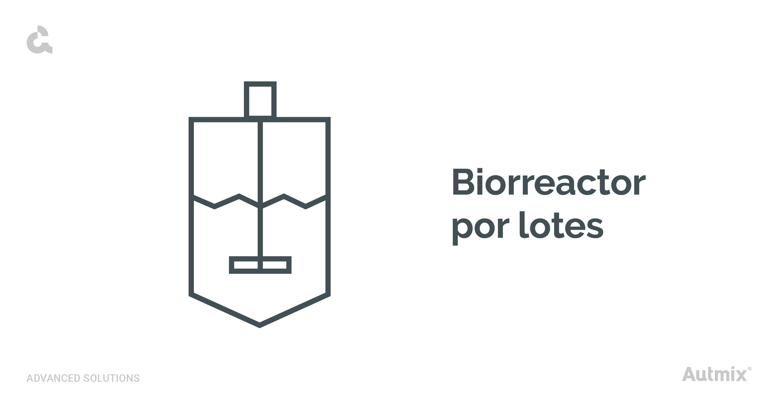 Biorreactor por lotes o discontinuo.