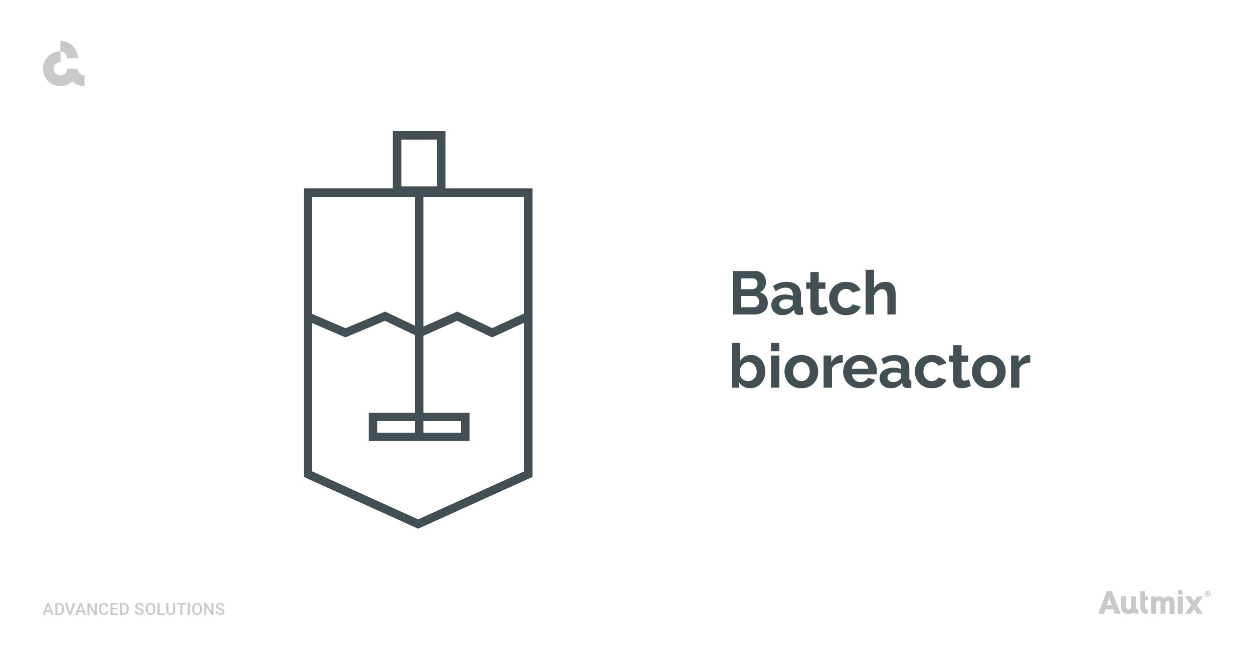 Batch bioreactor system