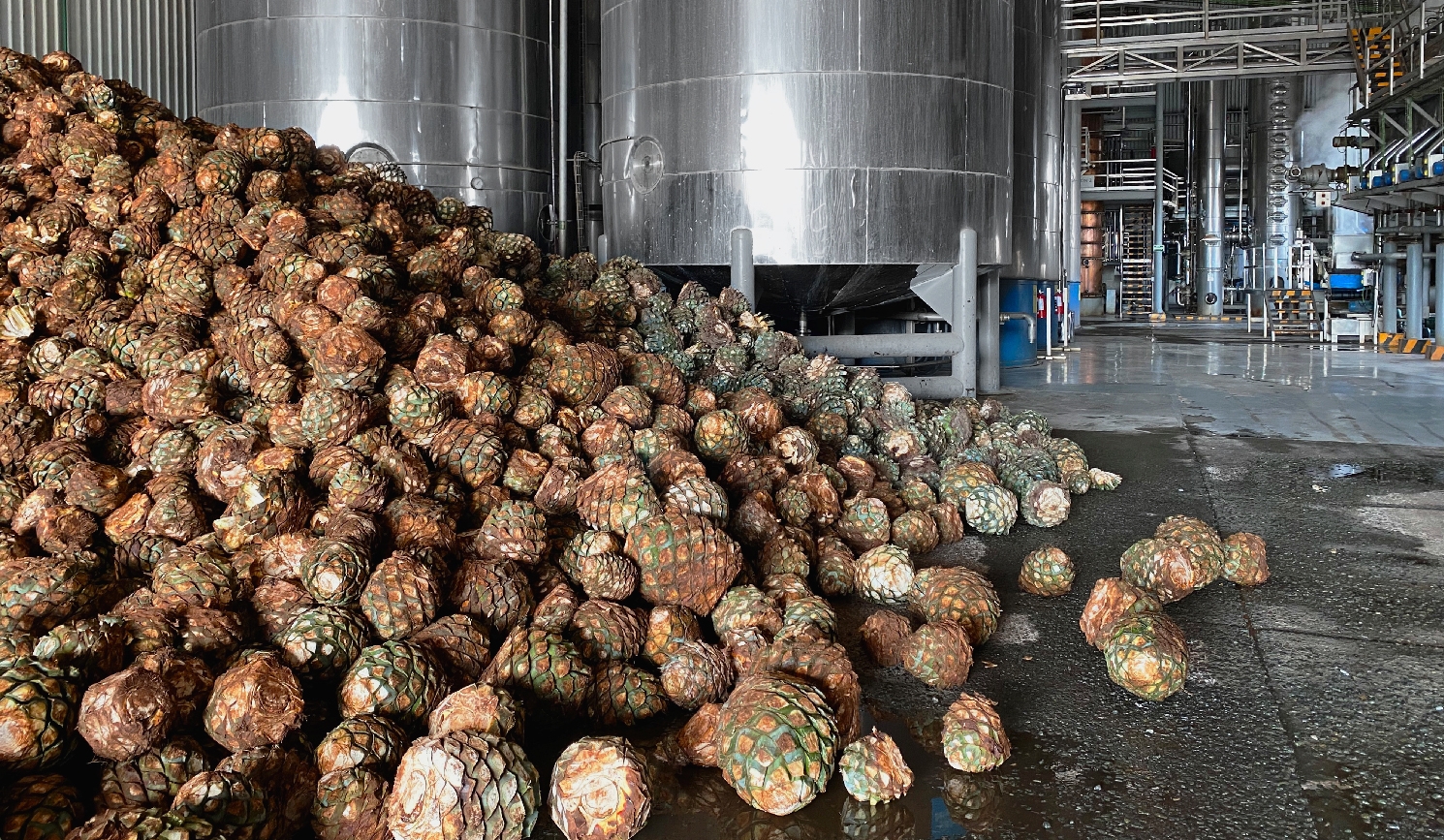 Reception of raw materials for food and beverage processing.