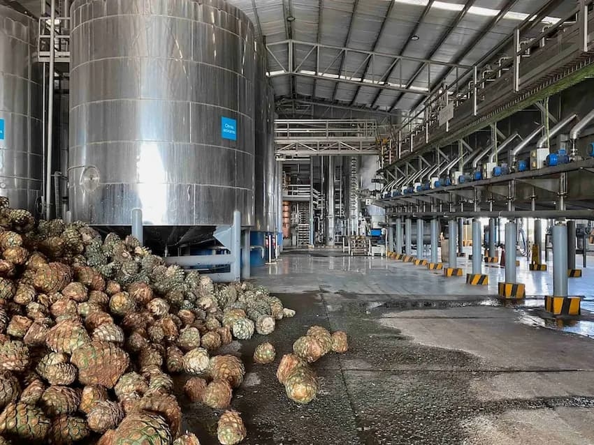 Aplicación de los proyectos llave en mano en planta tequilera.