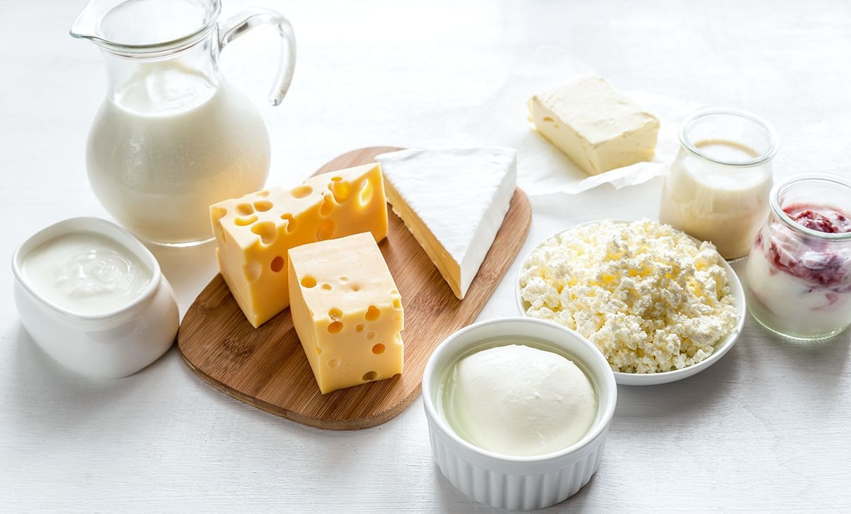 Ejemplos de fermentación láctica en la industria alimentaria.